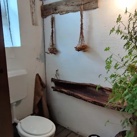 Faluhely Major ファームステイ *