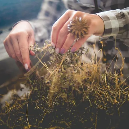 Faluhely Major * Mátranovák