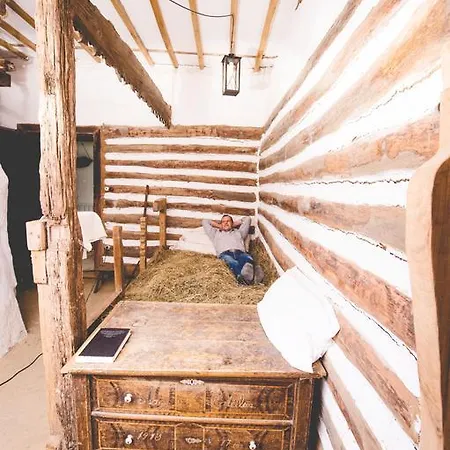 ファームステイ Faluhely Major Mátranovák