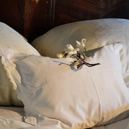 Faluhely Major ファームステイ