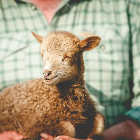 ファームステイ Faluhely Major *