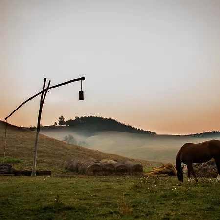 Faluhely Major Mátranovák