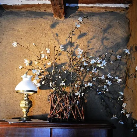 Faluhely Major * Mátranovák